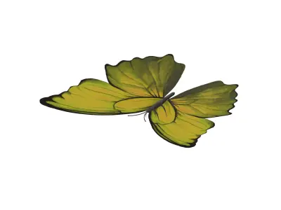 Butterfly v1 005 Low-poly 3D model