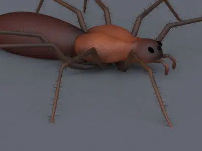 Spider Low-poly 3D model 7
