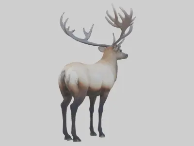 Elk deer Low-poly 3D model purchase