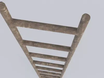 Wooden Ladder 3D model