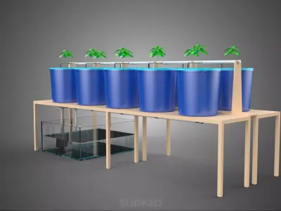 DBS DUTCH BUCKET SYSTEM BATO HYDROPONIC PLANT CULTIVATION GARDEN 3D model