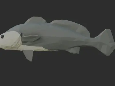 Low Poly Black Jewfish Low-poly 3D model