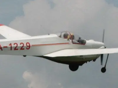Scheibe SF-25 Falke plane model 3D print model