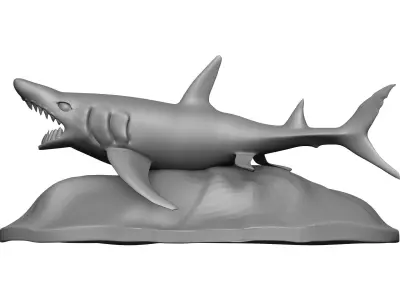 Shark 3D model 14