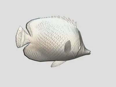 Latticed Butterflyfish Low-poly 3D model
