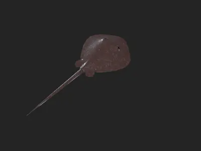 Stingray 3d low poly model Low-poly 3D model