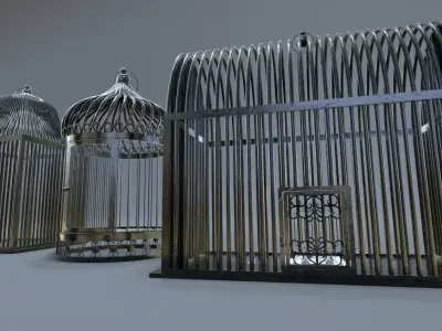Bird cage Collection 3D model purchase