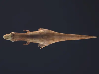 T-rex dog Low-poly 3D model