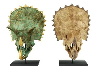 Triceratops skull 3D model purchase