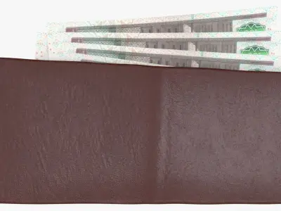 Egypt 100 Pounds Wallet Money Purse 3D model