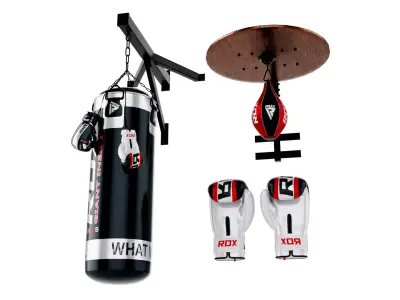 Comprehensive Boxing and MMA Gym Equipment Bundle Low-poly 3D model
