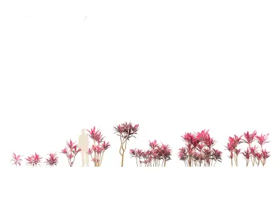 Jungle Foliage Pack 16 3D model