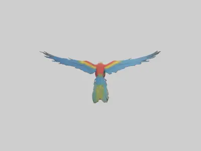 Macaw flying model Low-poly 3D model