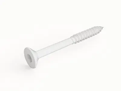Screw 111 3D model