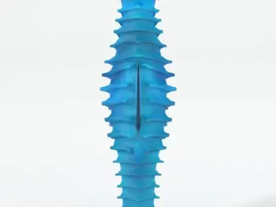Seahorse Low-poly 3D model buy