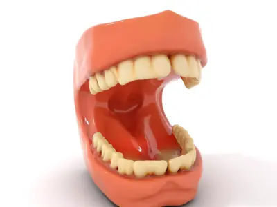 Realistic Dentist Teeth model pack Low-poly 3D model