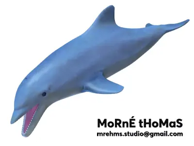 Dolphin Free 3D model buy