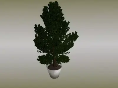 Plant in vase Free low-poly 3D model