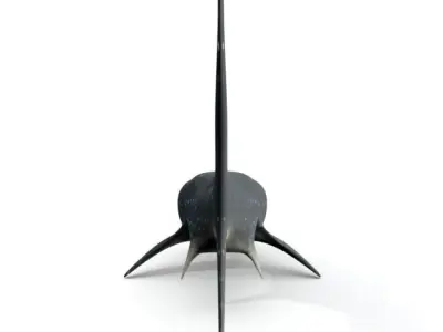Whale Shark Low-poly 3D model