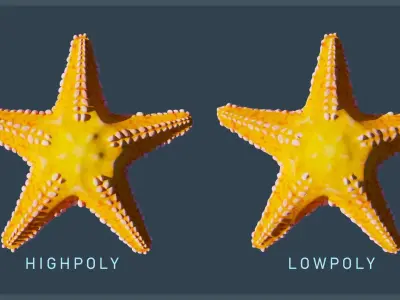 Starfish Variety Pack 1 Low-poly 3D model