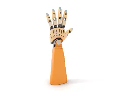 Advanced Robotic Hand and Arm Model Pack Low-poly 3D model