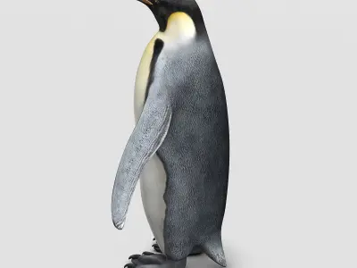 Penguin - Emperor 3D model