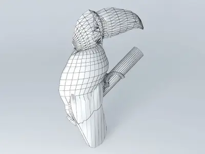 Toucan (Ramphastos toco Free 3D model