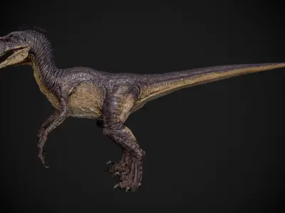 Raptor dinosaur 3D model buy