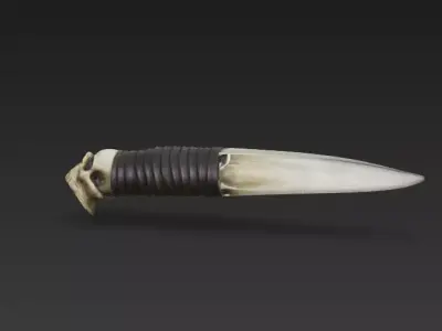 Bone Dagger of the Necromancer  Skull Pommel Ritual Knife 3D model