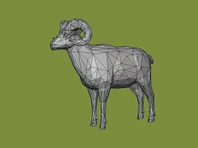 Horned sheep 3D model