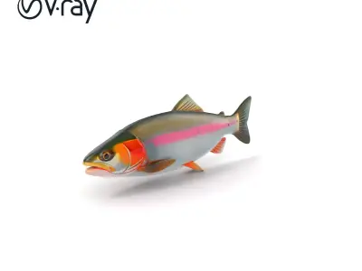 Dynamic Trout Fish Nature Realism model pack Low-poly 3D model