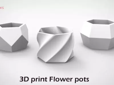 3D print Flower Pots Part-1 Advanced features  Solidworks-4 Free 3D model