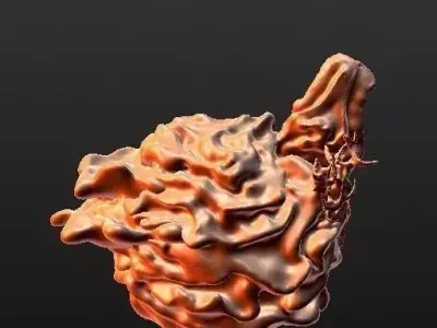 Coral Reef Free 3D print model