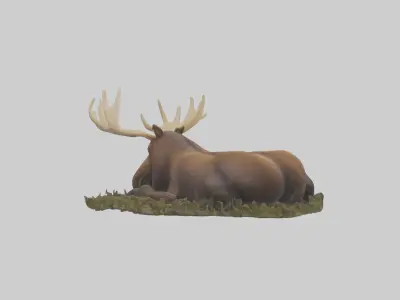 Sleeping Moose Model Low-poly 3D model