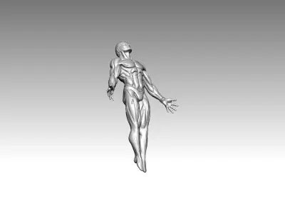 3D Model  Anatomy  Human 3D print model