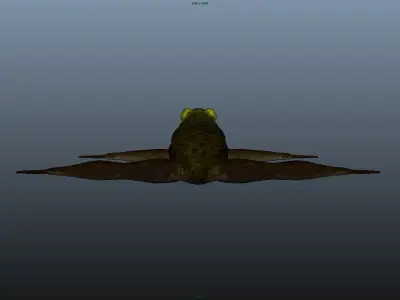 Frog Rig Low-poly 3D model