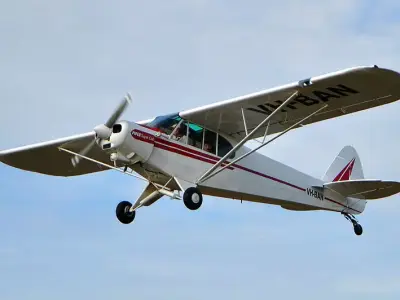 Piper PA-18 Super Cub 3D model purchase