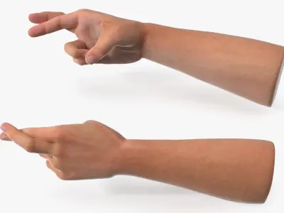Human Arm Set with Fingers Crossed 3D model