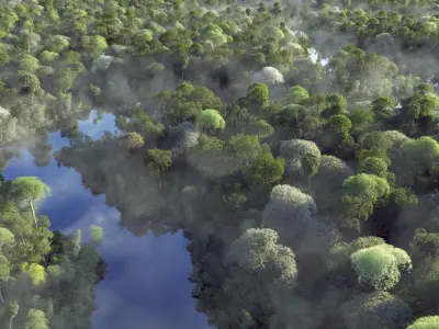 Amazon River 3D model