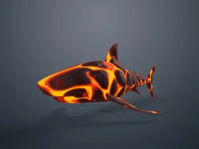 Shark Low-poly 3D model 6