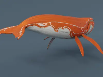Fantasy Whale Low-poly 3D model purchase