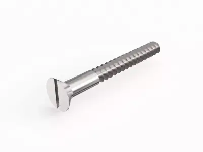 Screw 12 3D model