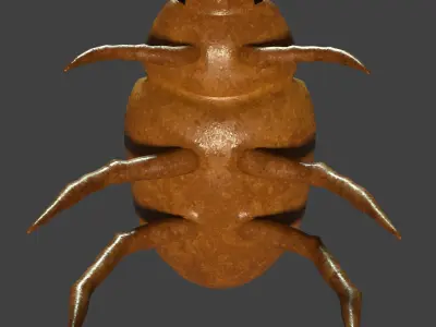 Bug 3D Rigged Model Low-poly 3D model