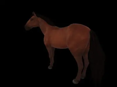 horse 3D model 3