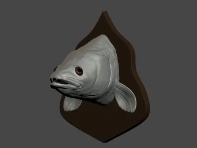 Zander detailed texture trophy taxidermy for 3D printing Free 3D print model