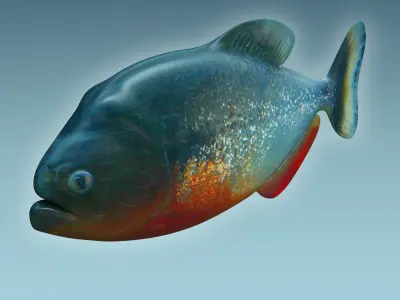 Piranha Fish 3D model get