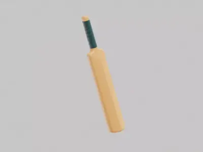 Cricket Bat Low-poly 3D model order