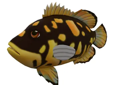 Tripletail Fish Cartoon Animated Low-poly 3D model