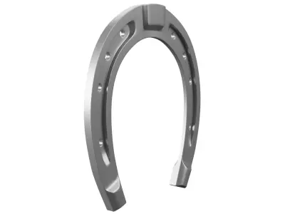 Horse Shoe 3D model