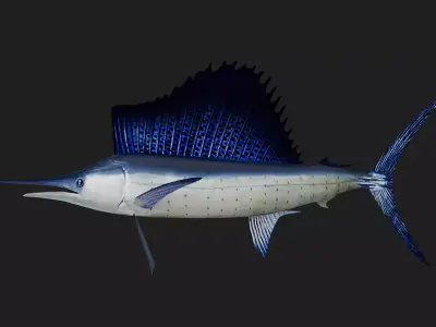 Sailfish Low-poly 3D model